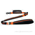 Eco-Friendly Dog Leash with heavy duty hook